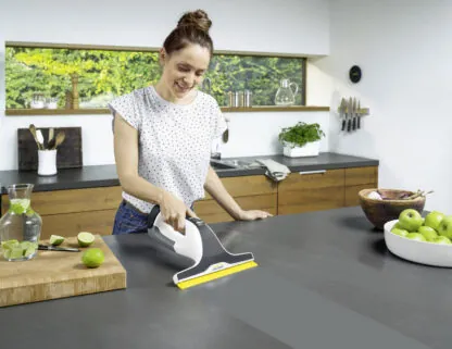 Window vac WV 6 Plus Karcher 7